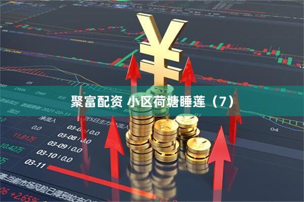 聚富配资 小区荷塘睡莲（7）