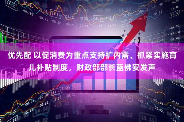 优先配 以促消费为重点支持扩内需、抓紧实施育儿补贴制度，财政部部长蓝佛安发声